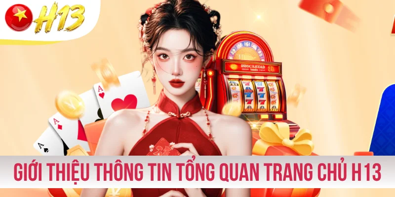 Giới thiệu thông tin tổng quan về trang chủ H13