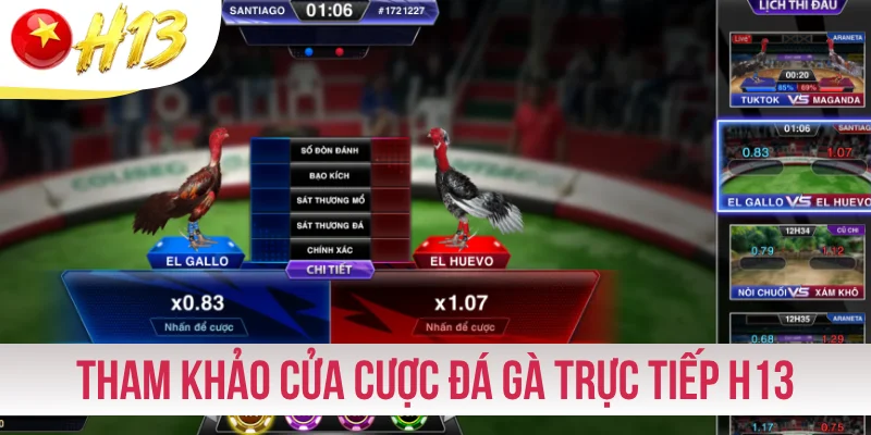 Tham khảo cửa cược đá gà trực tiếp H13 phổ biến